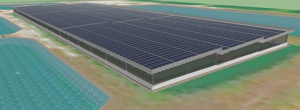 高雄市「漁電共生專案辦公室」傳捷報 市府核准首件申請容許案件1