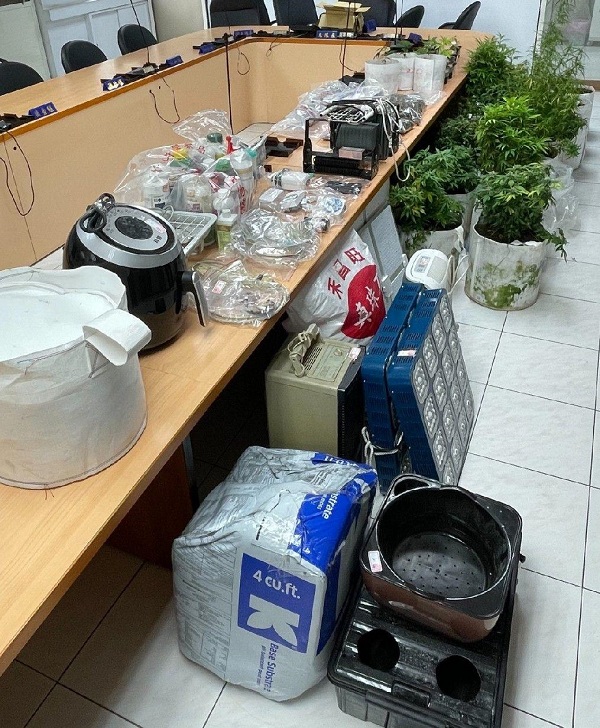 大樓水漾森林，大麻鬱鬱蔥蔥 南北合輯逮嫌犯3