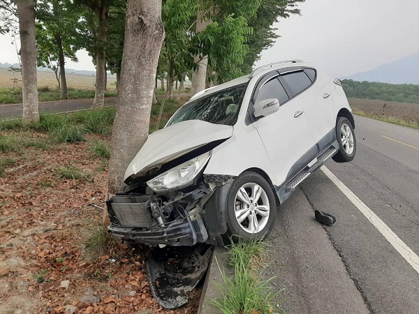沿山公路駕駛，閃狗撞樹釀1死1