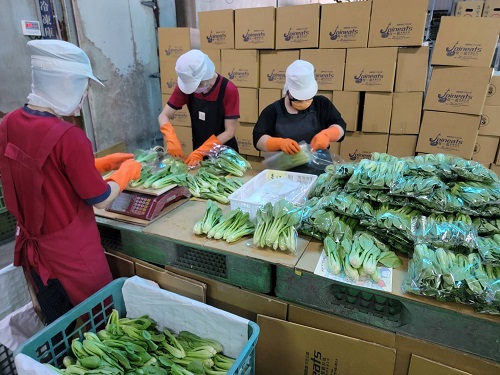 愛在一起，“十萬”火急助創世植物人服務1