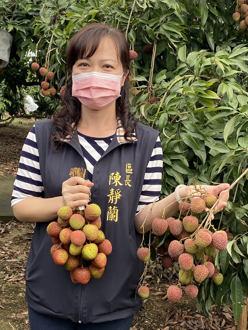 「鳳黃荔紅，甜蜜大樹」 高雄鳳荔農特產品展售活動 區長陳靜蘭極力推廣1