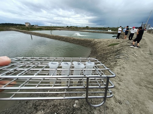 抽檢魚塭水中螢光假單胞菌、鏈球菌、水產病原弧菌等
