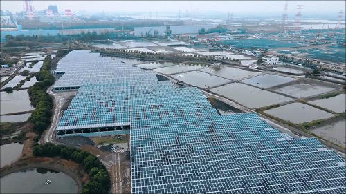 高市啟動茄萣、湖內漁電共生亮點計畫 即日起受理申請