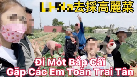 網紅熱心拍片宣傳加入「非法仲介農工集團」 遭移民署查辦2