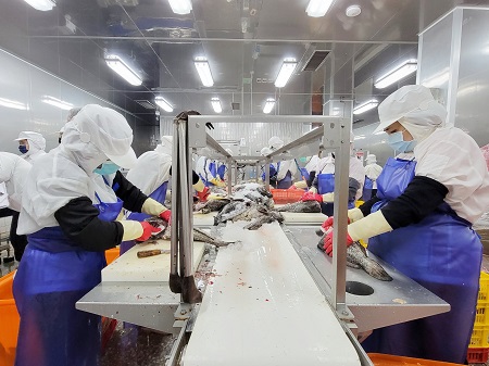 持續供應學校午餐石斑魚食材，並強化產能與貨源調配，確保供應更為順暢1