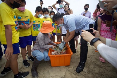 世界海龜日 海保救援網成功野放海龜回家2
