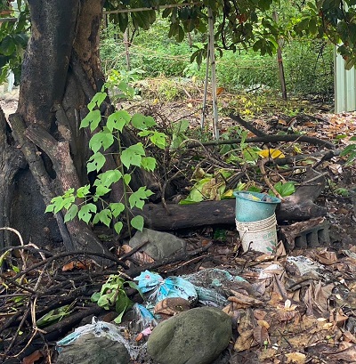 國產署出租地髒亂 屏縣環保局現勘後重罰1