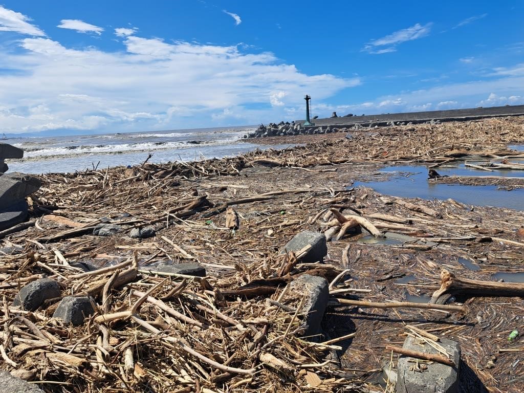 凱米颱風帶來大量漂流木，攔木網發揮功效 海洋局優先清理港嘴漂流木1
