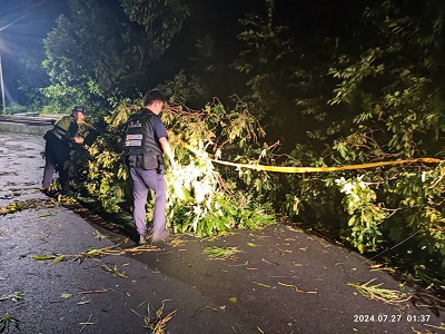 暴雨沖刷路樹倒，大林警速通報排除