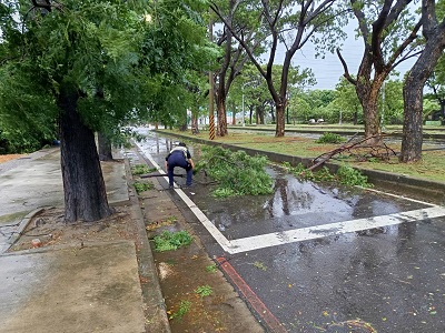 路樹倒塌阻交通，勇警挽袖速清除