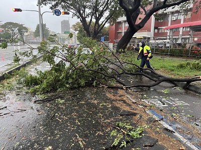 颱風天路樹倒塌 漢民派出所警排除護交安