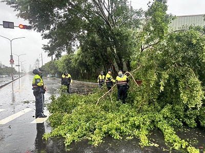 颱風天路樹倒塌 警協助排除護交安