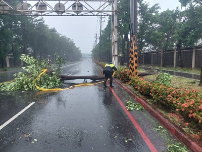 颱風肆虐路樹倒，大林警速通報排除