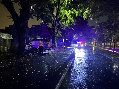 山陀兒颱風發威路樹倒塌 警冒風雨修剪路樹排除障礙
