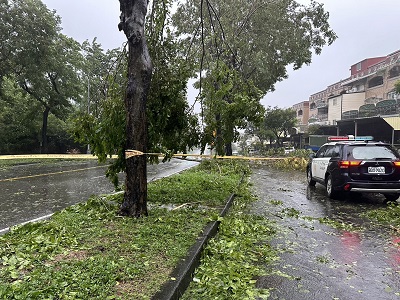 颱風天路樹倒塌 警冒雨維護交通