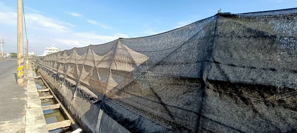 大陸冷氣團接連來襲，呼籲養殖朋友做好防寒準備1