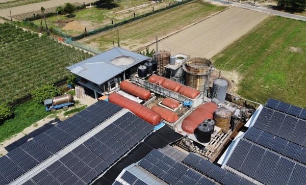 「黃金」變「綠金」！ 全國第一家取得綠電憑證民營養豬場在高雄1
