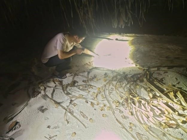 揭開國之南疆生態面紗 國海院調查太平島陸寄居蟹多樣性1