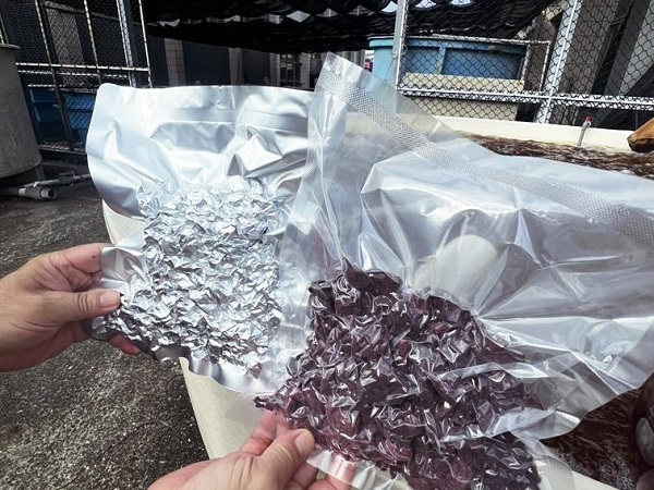 抗暖化大作戰 減少甲烷效率更勝自然碳匯 高科大創新成果登國際期刊1