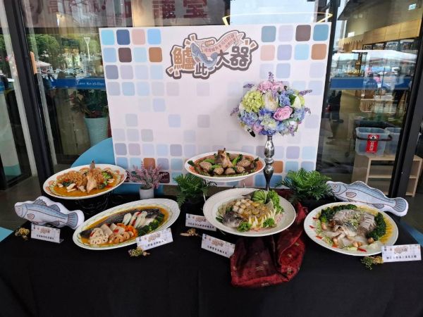 力挺國產漁業 梓官區漁會全年啟動鱸魚大作戰1