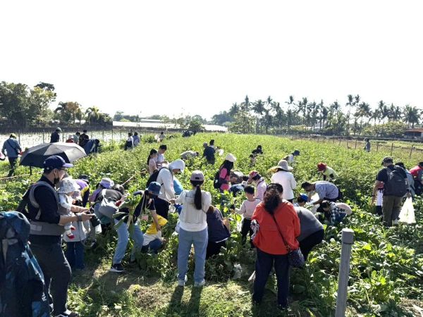 《蘿蔔仔逃走中‧變身小小農夫》 火焰蟲非營利幼兒園體驗客庄農事文化1