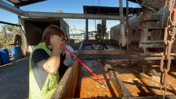 屏東長治再查獲廚餘餵豬違規案1