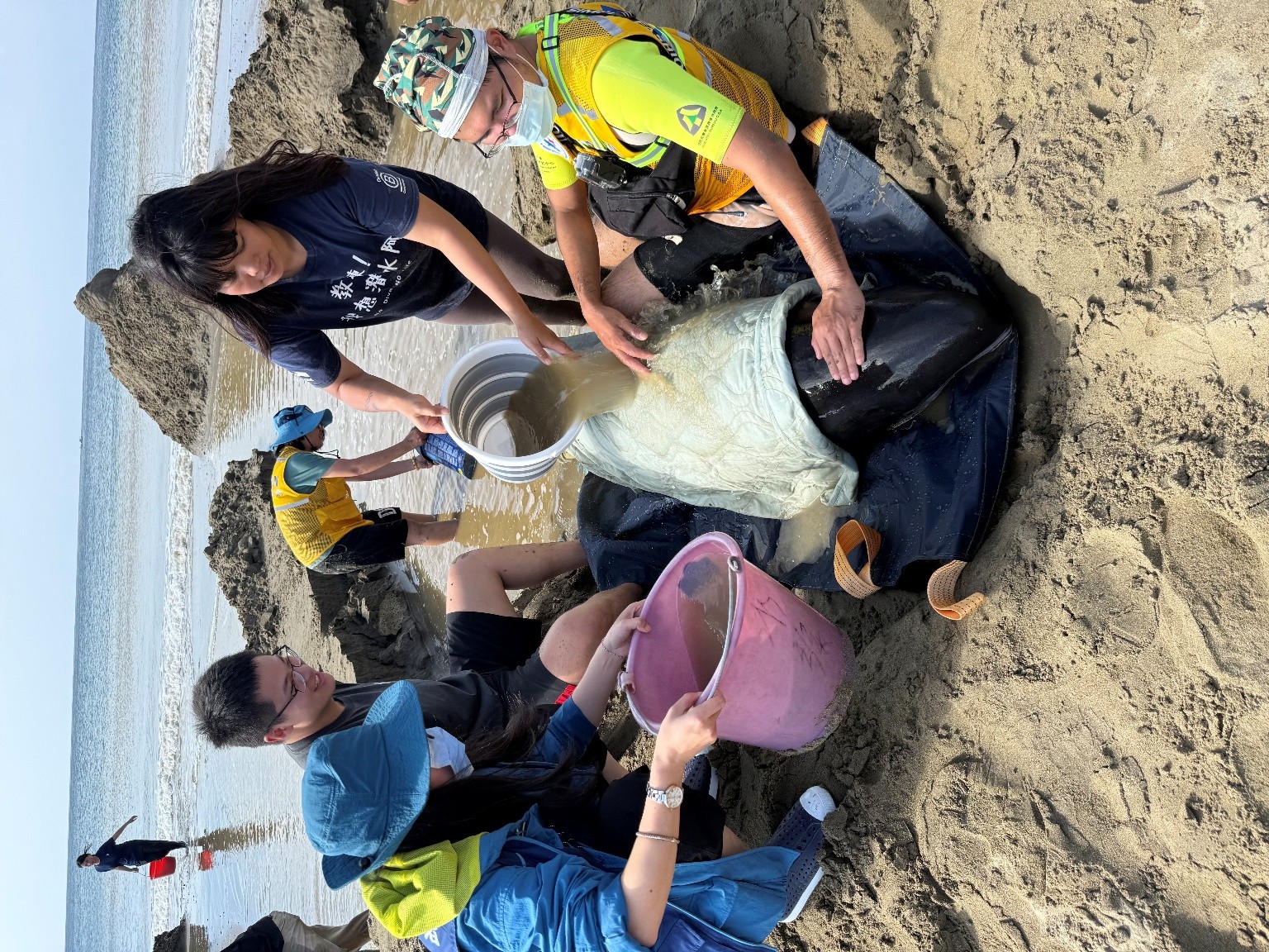 小虎鯨回家了！屏東擱淺救援成功 MARN團隊助其重返大海1