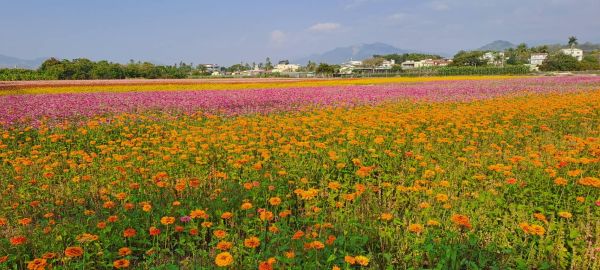旗山溪流量低迷農田供灌受阻 杉林農民抗爭獲回應1