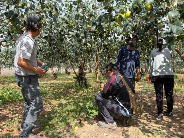 2-3月霪雨致災 棗農損救助受理申報1