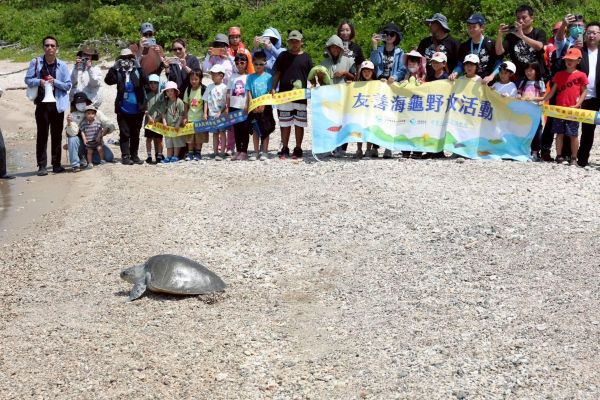 海保署攜手海巡署、海生館「第 118 隻海龜，回家」1