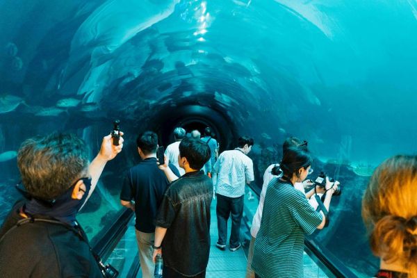 臺韓觀光交流會議圓滿落幕 屏東魅力獲韓國業界肯定 期待帶動國際旅遊市場1