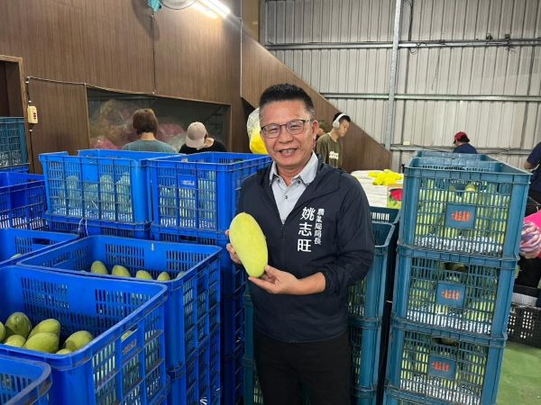高雄金煌芒果甜蜜登場 六龜農會領航首櫃外銷新加坡1