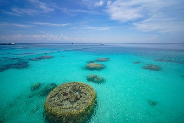封島奇蹟果凍海！馬來西亞暑假親子旅遊海陸雙亮點登場1