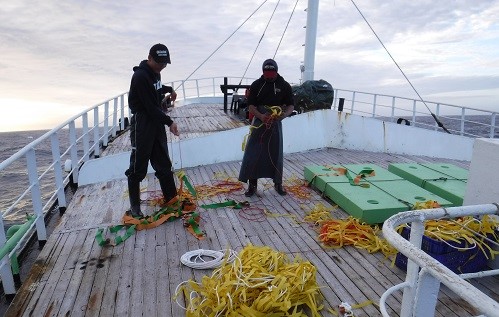 漁業署與國內及國際鳥類保育社團合作「臺灣海鳥混獲忌避措施計畫」 1