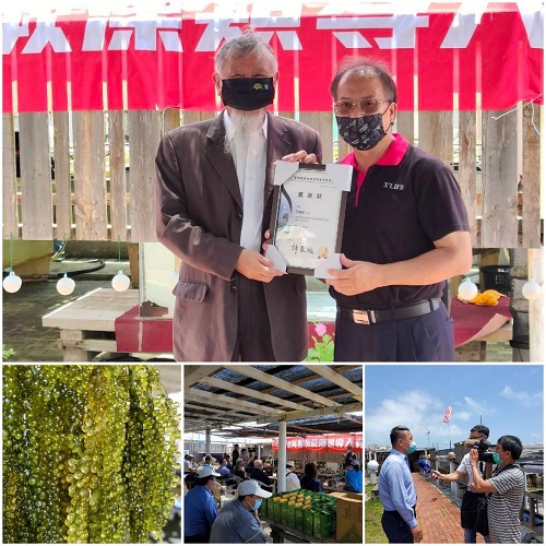 全台第一家海葡萄蕨藻類水產品導入有機養殖 讓澎湖在地產業生根發展1