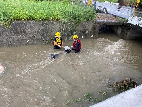騎士連同機車摔落路旁溝渠遭水流沖走 警消尋獲已無生命跡象2