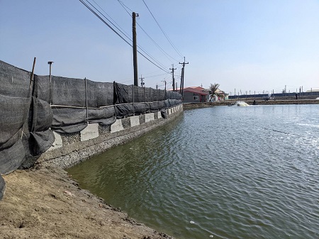 今年首波寒流南下，海洋局張漢雄局長籲請養殖漁民 提前做好防寒措施2