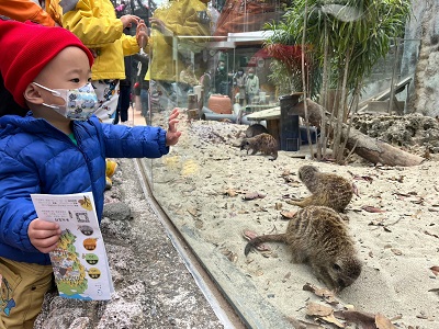 壽山動物園夯！歡慶兒童節4月1日-5日加碼現場票1000張2