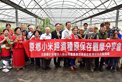 慈心有機農業發展基金會 搶救小米種原大作戰 扎根經濟種原分享機制有成 世代永續保種新契機1