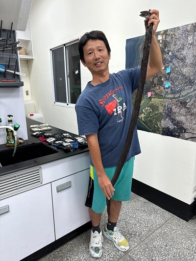 鯙科魚右睪丸較左大八倍 中山大學發現生物奇觀！1