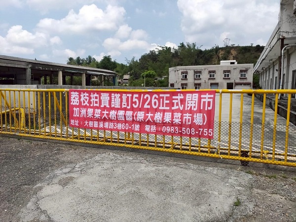 玉荷包開賣啦！ 大樹果菜市場5月26日拍賣起跑1
