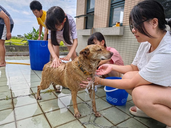 高雄大學寵研社「洗狗大會」 清潔校園流浪犬隻 傳達尊重生命理念1