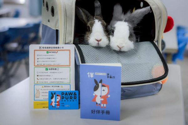 高雄市「好伴兔兔講座」溫馨登場 近百位學員與10隻兔子齊聚共學健康照護1