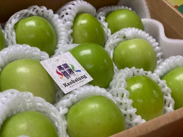 馬年迎春棗 高雄首選蜜棗限量開賣 電商平台產地直送1