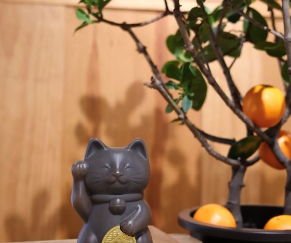 MUJI無印良品「2026福罐」399 元限量登場 限定門市消費滿額再送招財貓存錢筒1