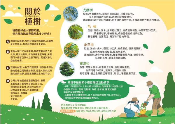在植樹節種下綠色希望 3月12日植樹節全市區公所免費發送樹苗1