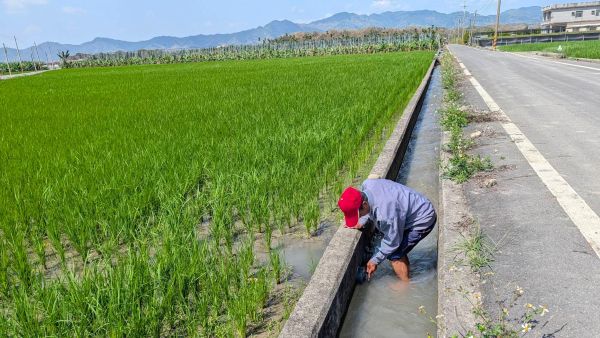 農水署高雄處全力抗旱 啟動美濃抗旱井並成立應變小組 穩定農民灌溉權益5