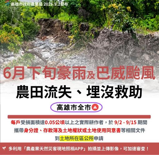 高雄市即日起辦理6月下旬豪雨及巴威颱風農田流失、埋沒救助